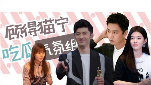 综艺小说多集娱乐圈吃瓜,多集综艺吃瓜大揭秘