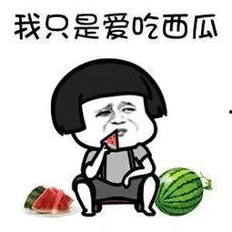 娱乐厅吃瓜,揭秘娱乐圈背后的故事与真相