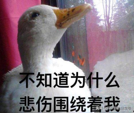 娱乐吃瓜酱冲鸭