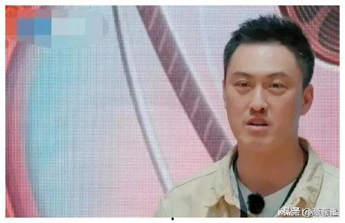 娱乐圈吃瓜了吗,揭秘明星背后的故事