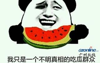 网上吃瓜什么意思,揭秘“吃瓜”背后的网络文化现象