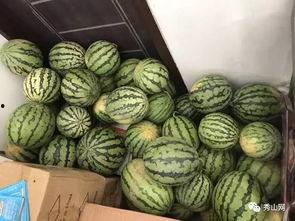 网上吃瓜群可靠吗,信息真伪难辨，可靠度几何？